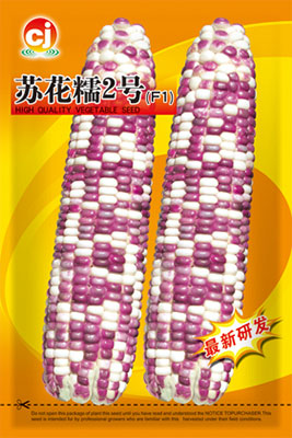 Su Hua Nuo No.2Fresh corn