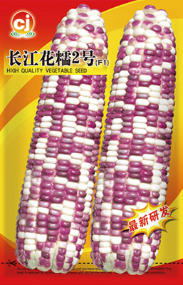 Changjiang Hua Nuo No.2Fresh corn