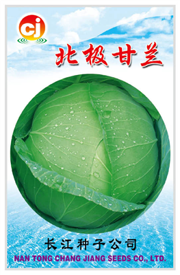 Bei Ji CabbageCabbage Products