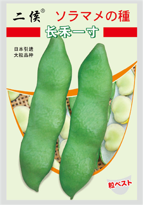 Chang He Yi Cun  Vegetable Legumes